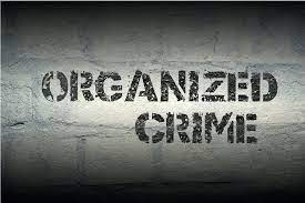 leading-organized-crime