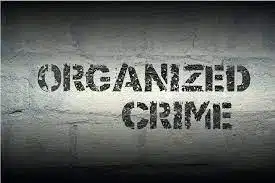 leading-organized-crime
